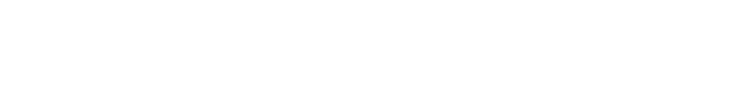 Название Партнера